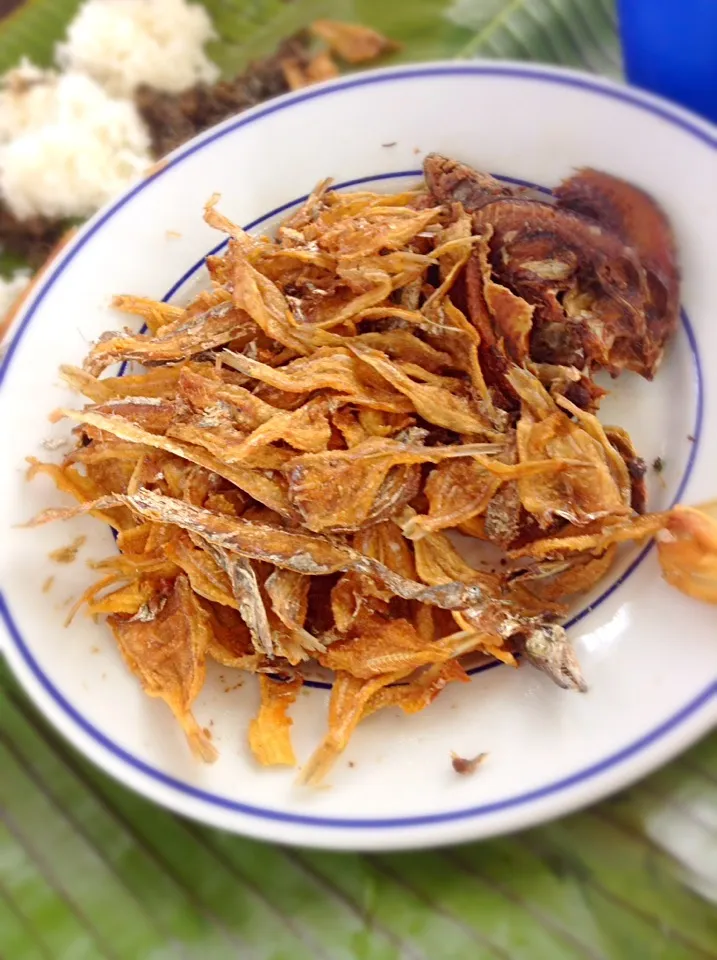 FiLipiNo DriEd FisH..|GeMzKiTchさん