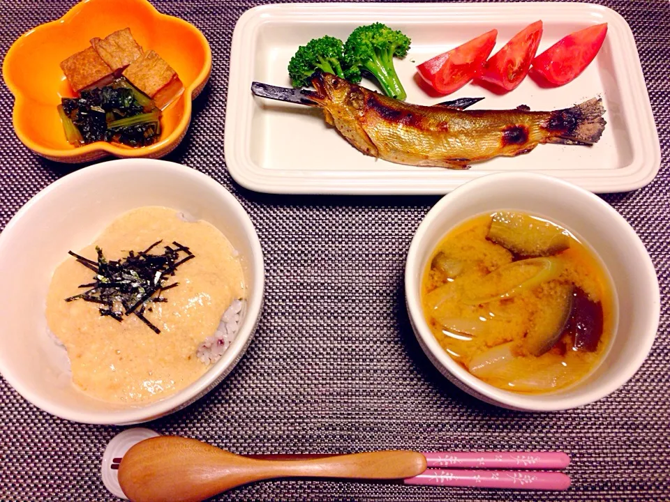 鮎の塩焼き、とろろご飯|メグさん