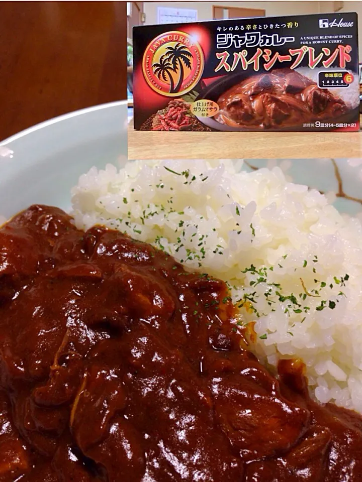 オヤジ特製「ちょっぴり辛いごくごく普通のカレーライスだぎゃあ〜！(^-^)」|TETSU♪😋さん