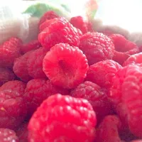 Snapdishの料理写真:Raspberries|amandali11さん