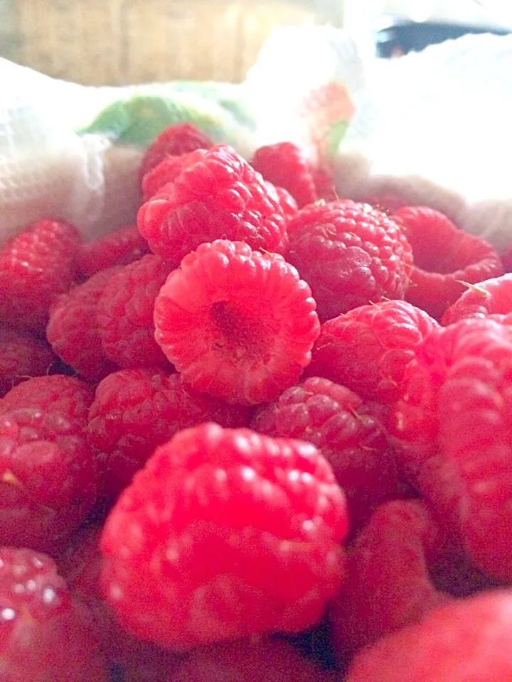 Snapdishの料理写真:Raspberries|amandali11さん