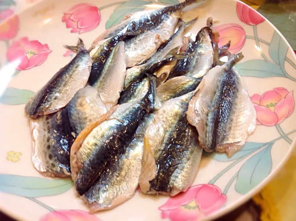 土曜日に釣れた「小鯖」をシメテみました🐟😋 予想以上に美味しい〜|アライさんさん