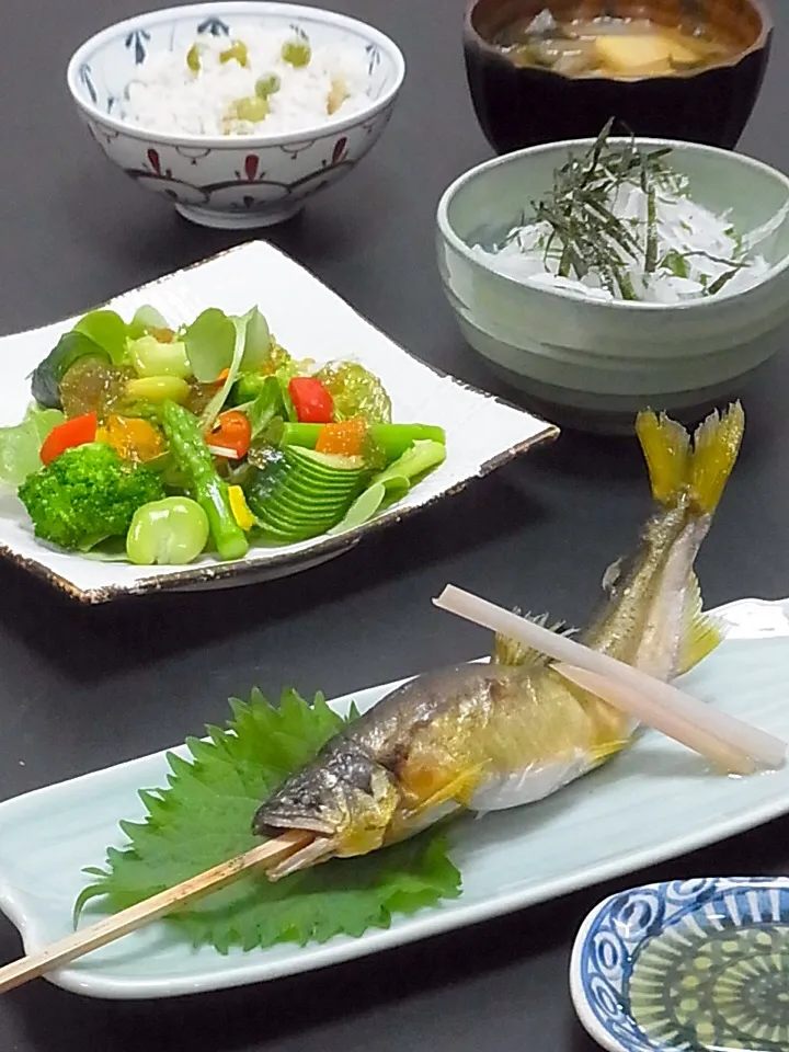 今晩は、鮎塩焼、初夏の野菜 自家製ポン酢ジュレ、大根と紫蘇のレモン醬油、じゃがいも  新玉ねぎ わかめの味噌汁、キヌア入り青豆ご飯  大きさも丁度良い鮎に出会ったので、姿で塩焼きに。 青竹の串を打って、彩りと香りを移して野趣を楽しみたいところ、串は前回取って有った物、タデの葉も無く(^^;; 雰囲気だけですが、最後に頭|akazawa3さん