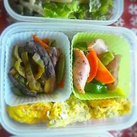 Snapdishの料理写真:レンジでチンできる弁当|こふぃさん