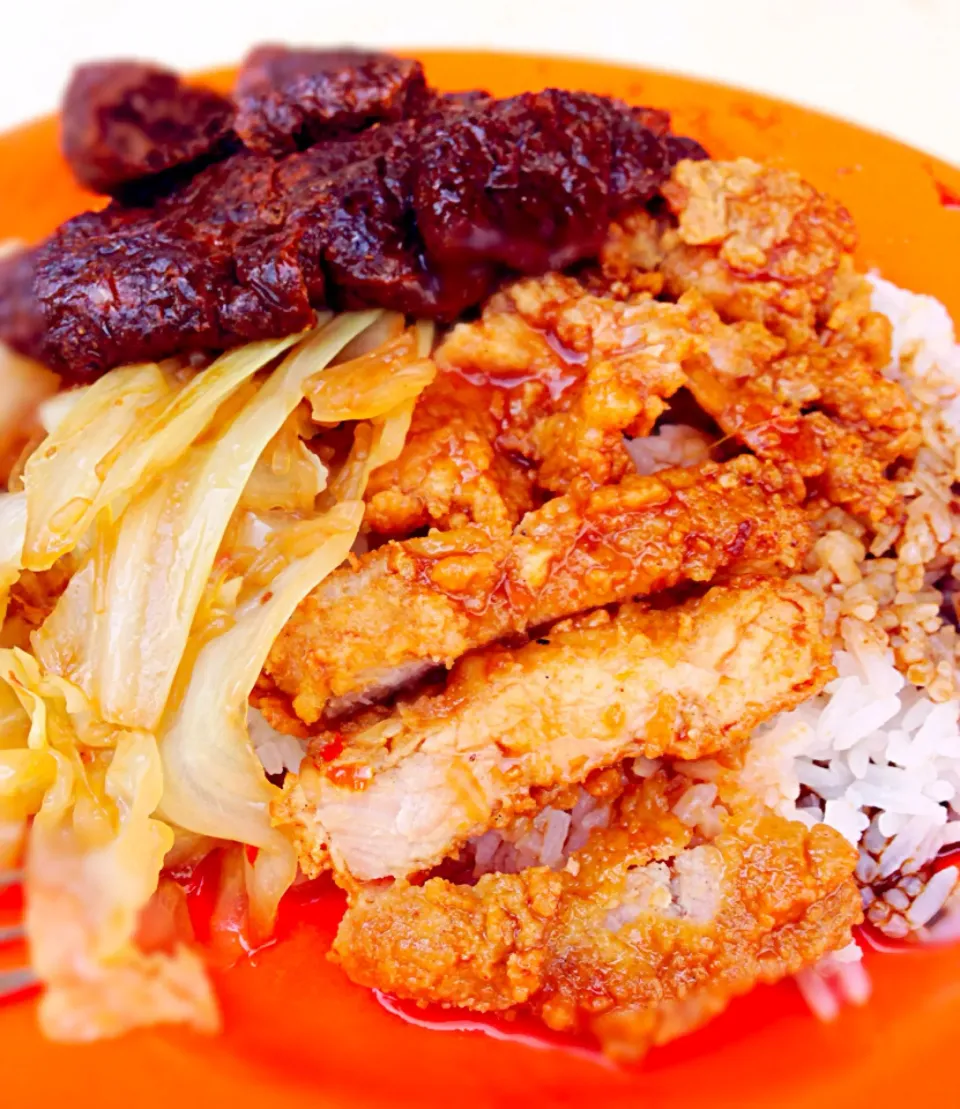 Loo's Hainanese Curry Rice@Tiong Bahru. Cabbage, pork chop, taupok over rice|coxiella24さん