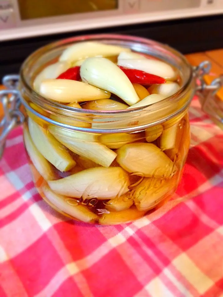 らっきょう漬け♪|塚本直美さん