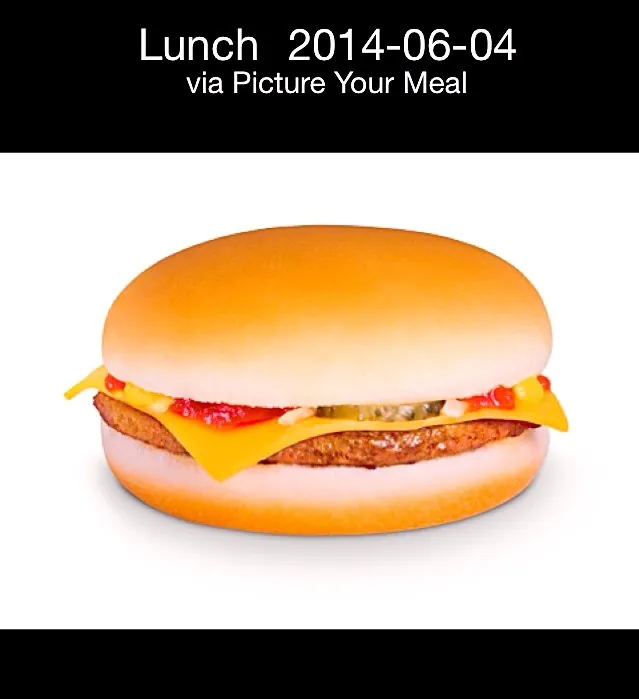 Snapdishの料理写真:Cheeseburger|ddさん