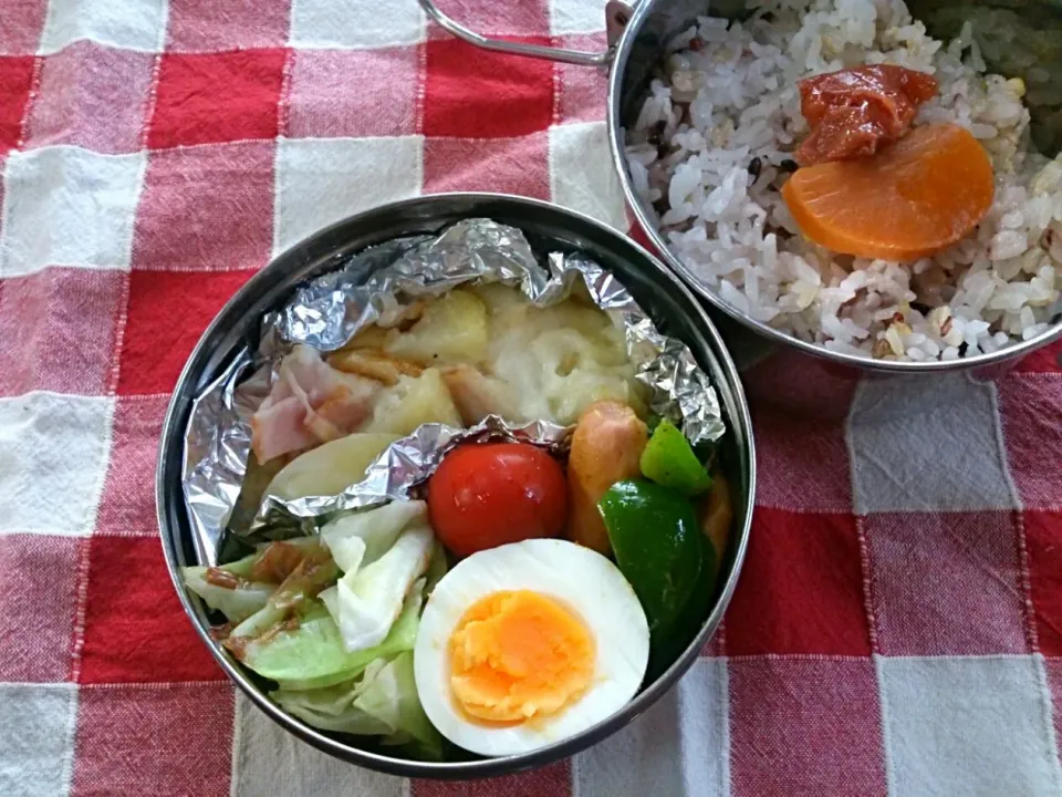 Snapdishの料理写真:今日のおべんとう。|たまさん