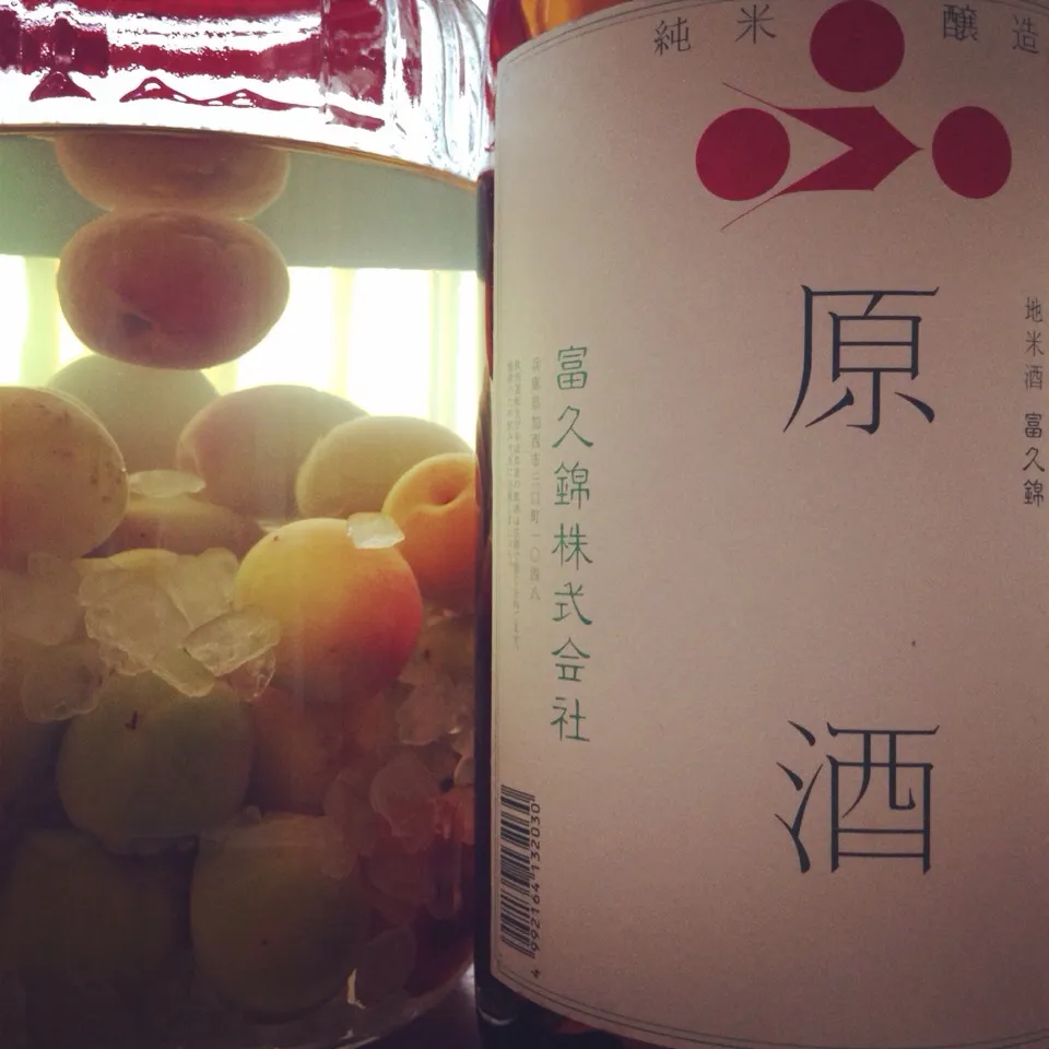 Snapdishの料理写真:富久錦の純米原酒で作る梅酒。|tomominさん