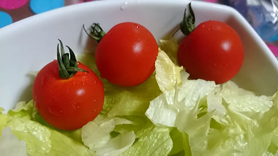 一寸法師ミニトマト|29ちゃんPEさん