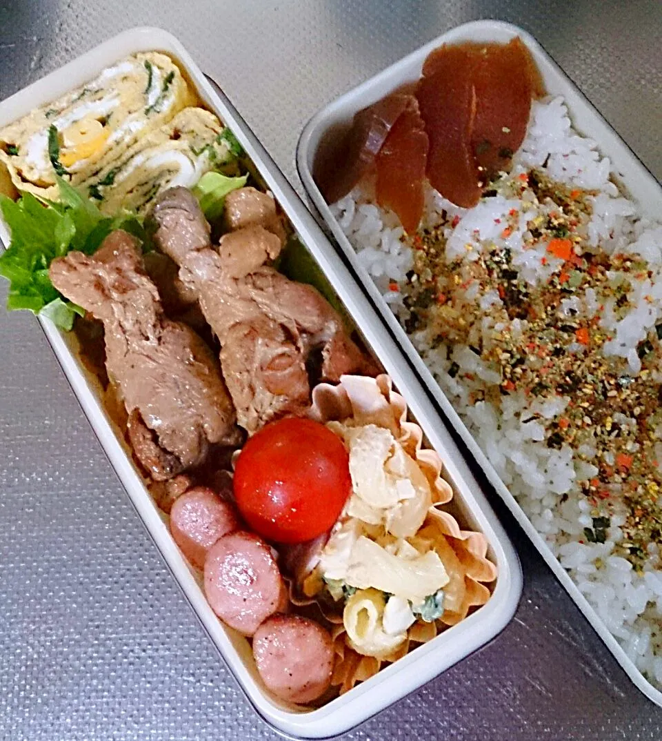 Snapdishの料理写真:6月6日 パパのお弁当|かなこさん