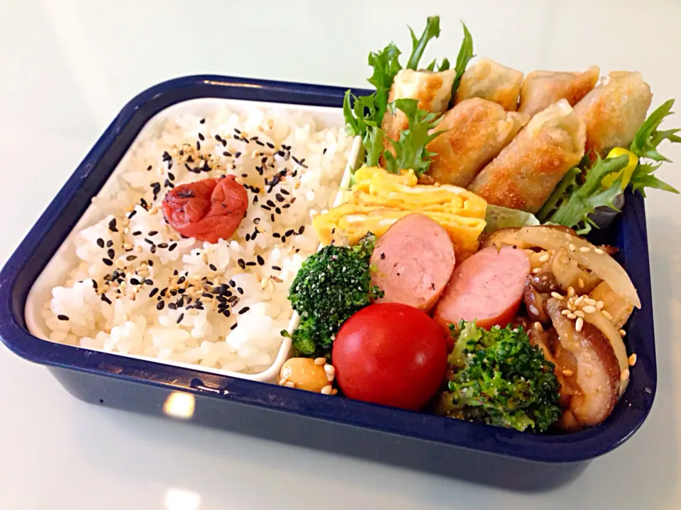 ツナ棒ぎょうざ弁当|のぞみさん