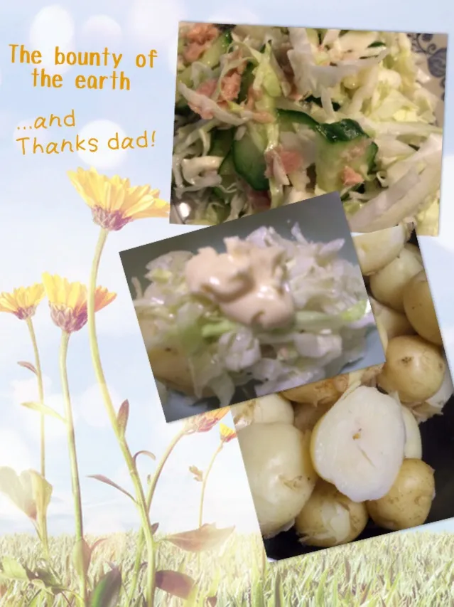 Home-grown new potatoes and coleslaw  自家製ポテトとコールスロー|cocoaさん