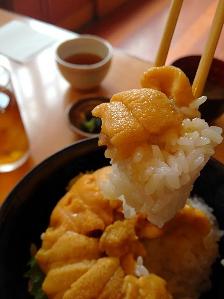 ウニ丼|momoさん