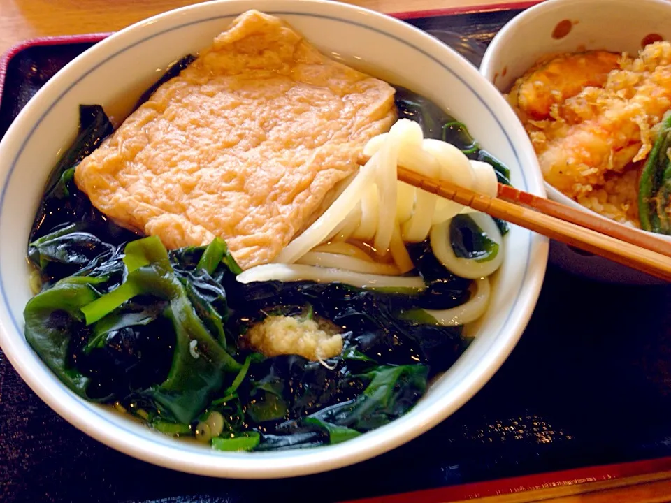 札幌 寺屋のわかめうどん|pipioujiさん