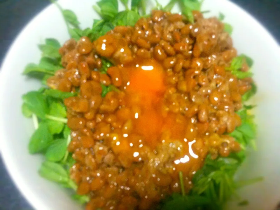 納豆生黄身豆苗丼|gekoさん