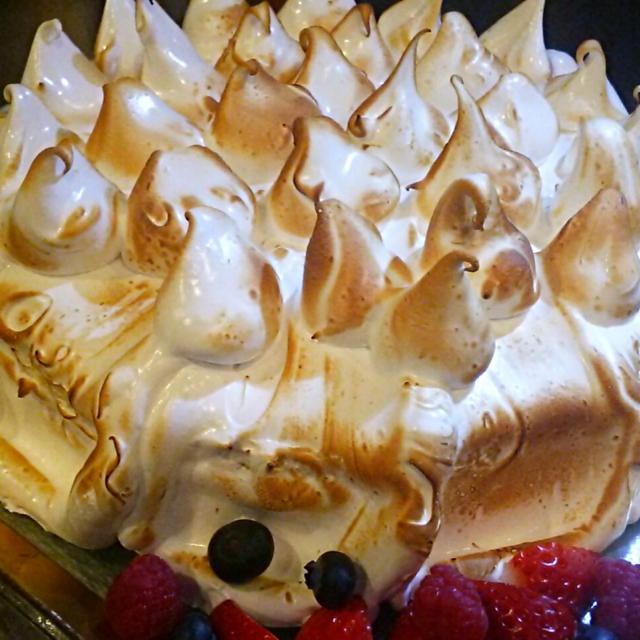 メリンガータ Hiroki Ohkubo Snapdish スナップディッシュ Id Evatla