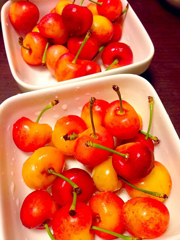 RAINIER CHERRIES!!|IGGYさん