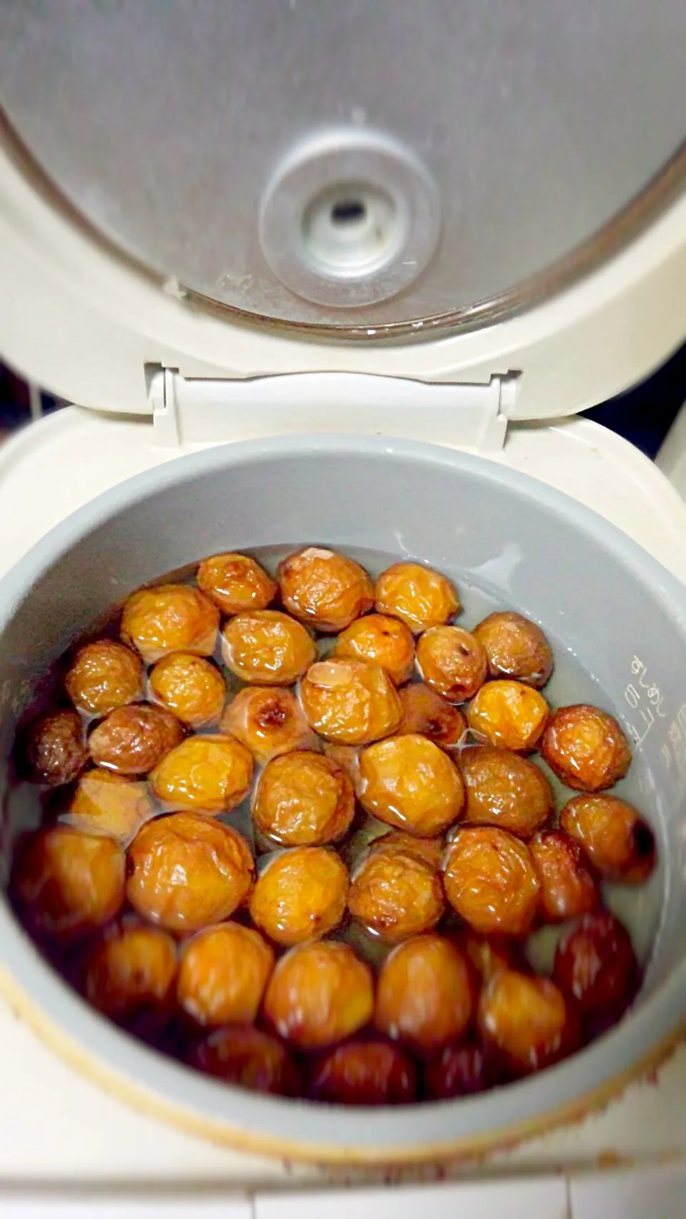 炊飯器で梅シロップ|時雨さん