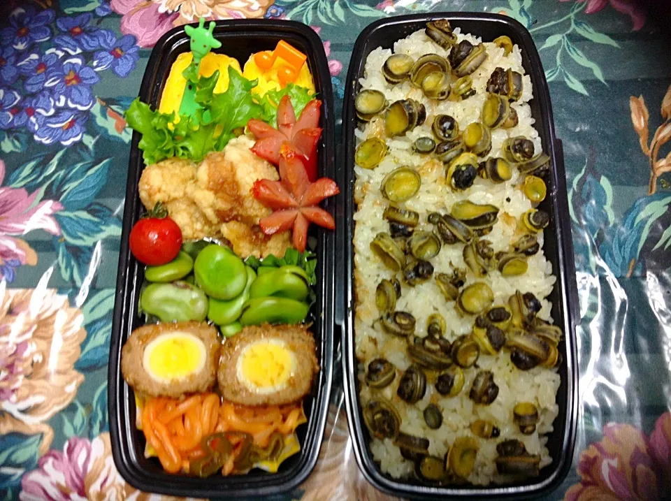 べべ貝ご飯弁当|みーこさん