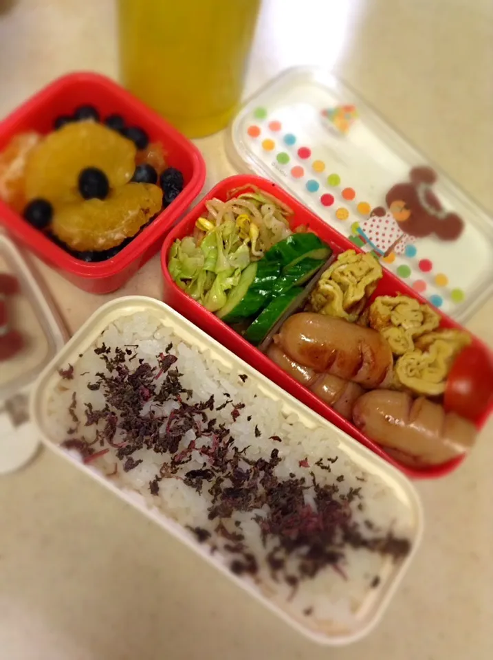 Today's JK lunch box. 今日は土曜授業のある日だった〜 慌てて作ったありあわせ弁当すまぬ。|hoppycowさん