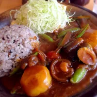 Snapdishの料理写真:野菜たっぷりベジカレー|Viciousさん