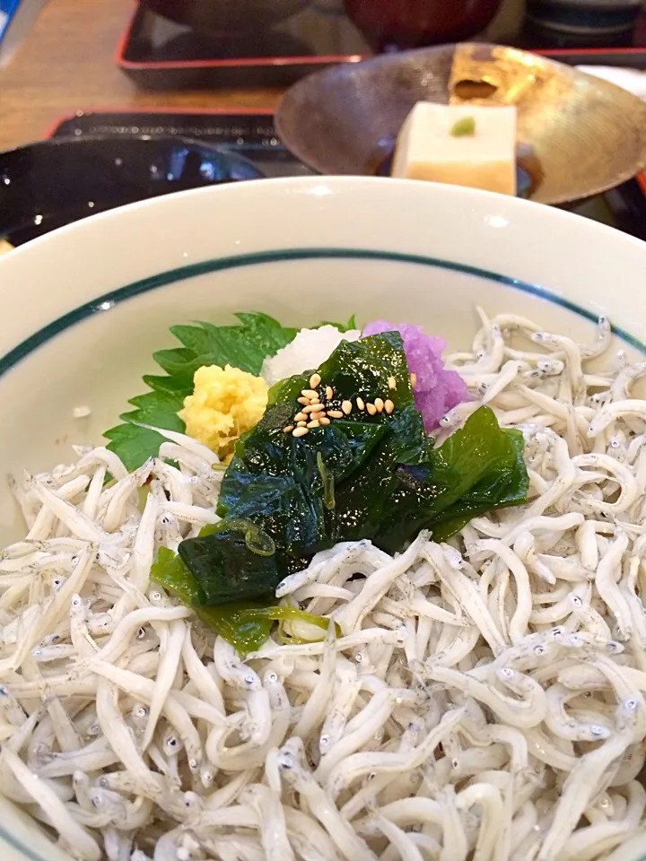 釜揚げしらす丼|くぽさん