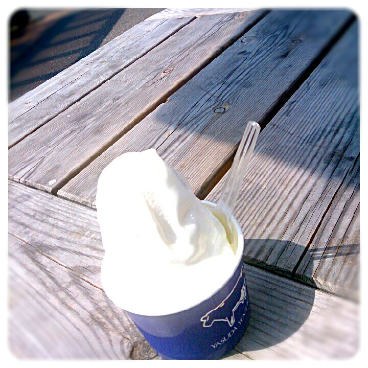 ヤスダヨーグルト直売所のソフトクリーム(*^^*)
久々の牛乳感半端ない！(°∀°)