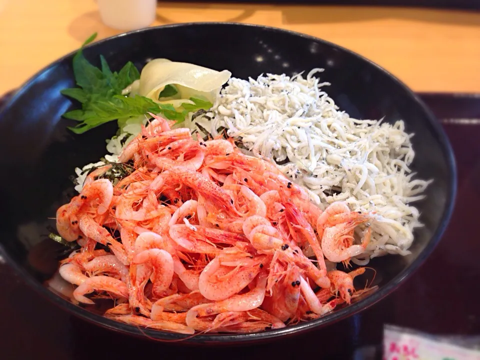 桜海老としらすの駿河丼|はなおさん