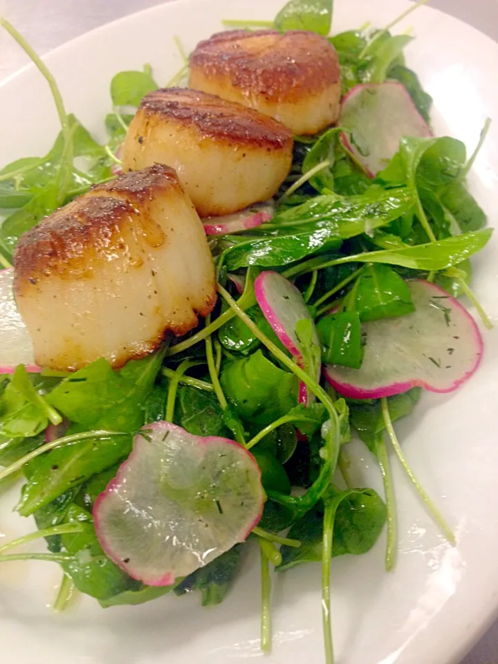 Spinach, radish, lemon dill vin, scallops.|Nader Iweimrinさん