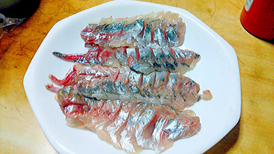 昨日釣った マアジの刺身
脂ノリノリで旨い!!|Masatoさん