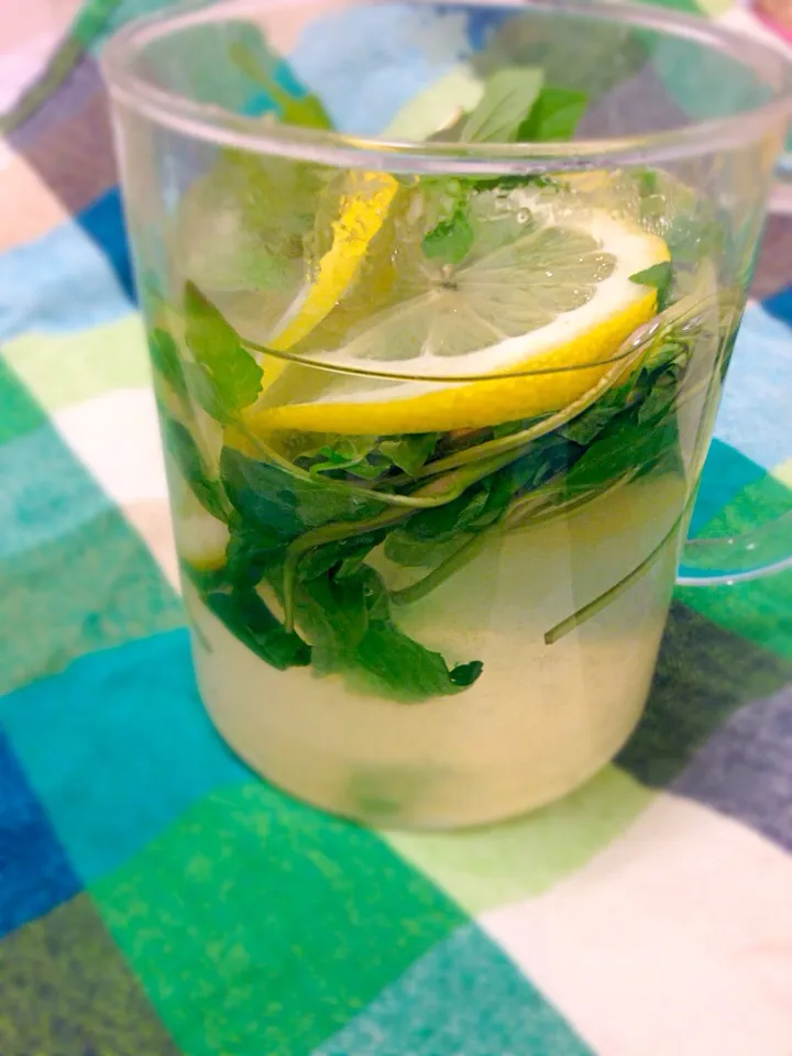 Mint & Honey Lemonade|Allyさん