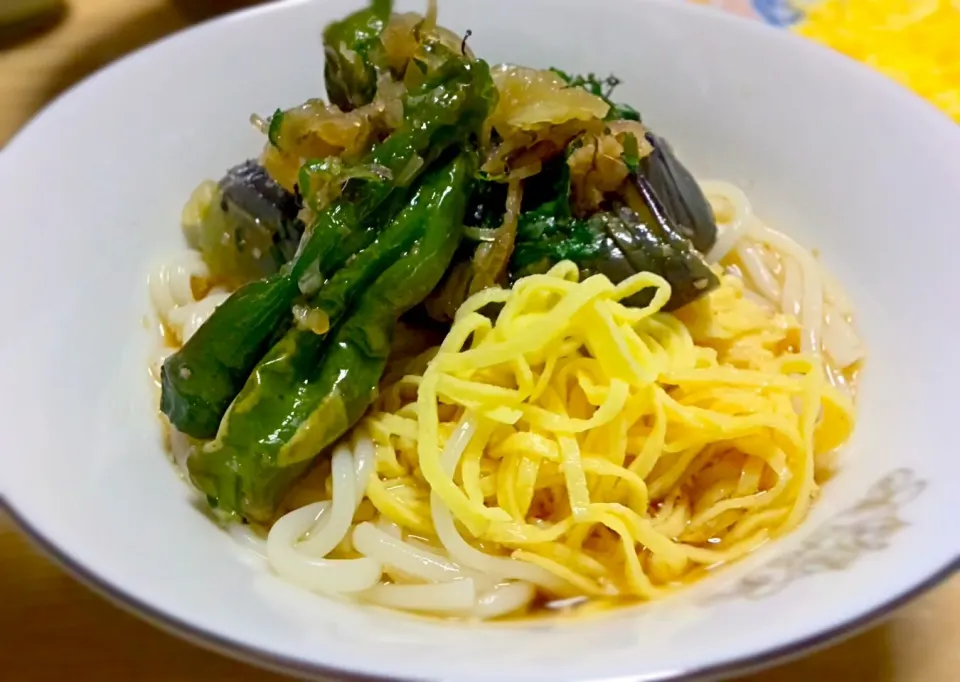 素麺の季節です。|おさかなさん