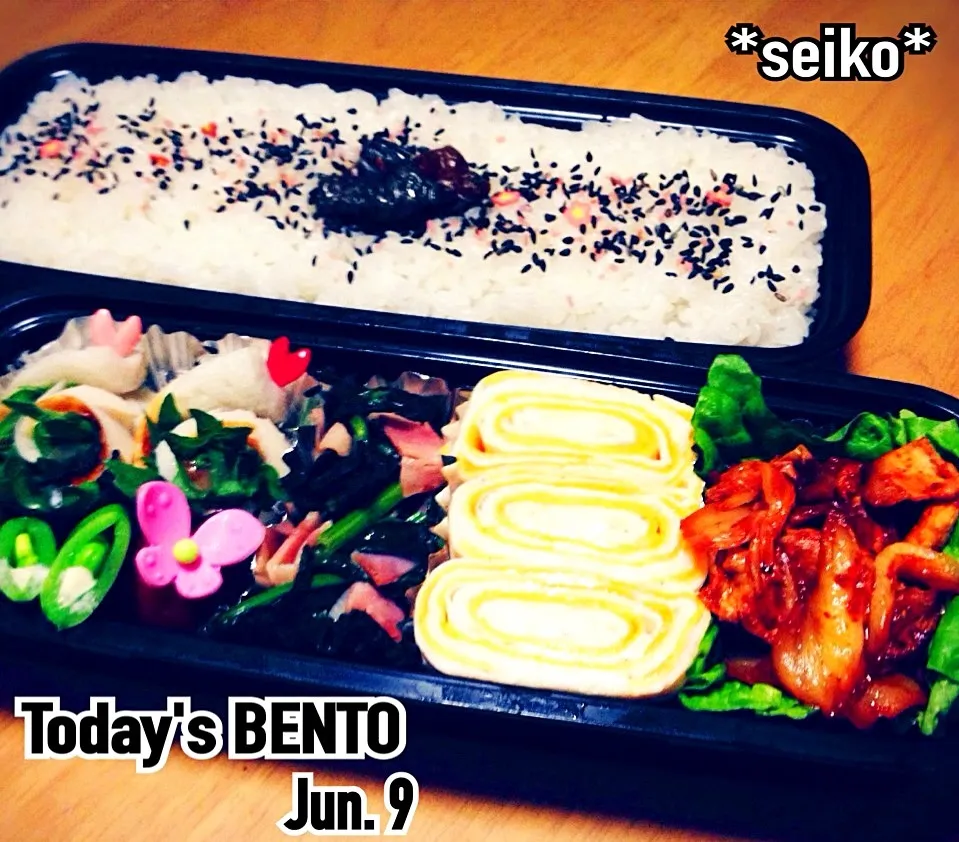 Snapdishの料理写真:旦那さんのお弁当☆ 2014.6.9|*seiko*さん