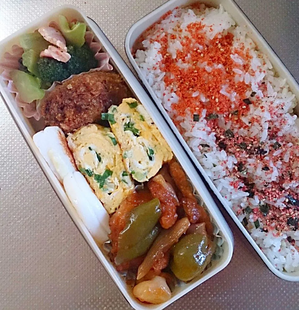 6月9日 パパのお弁当|かなこさん