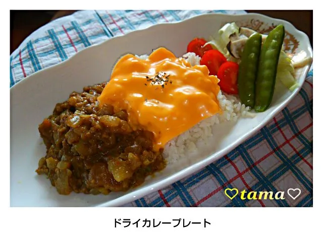 Snapdishの料理写真:6/9  ドライカレーな夕飯|♡tama♡さん