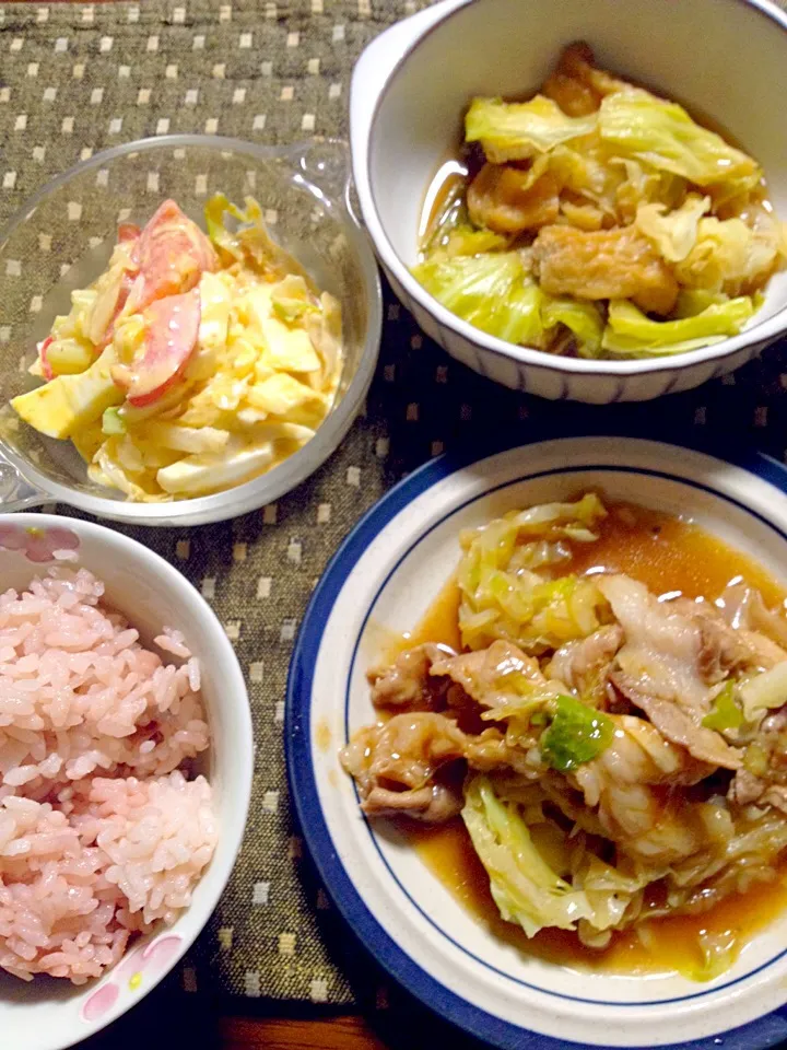 キャベツと揚げの煮浸し キャベツと豚肉の炒め物 キャベツとトマトと玉子のサラダ|掛谷節子さん