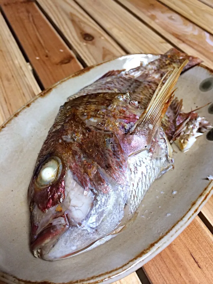 尾頭付き鯛の塩焼き|神力屋 火酒さん