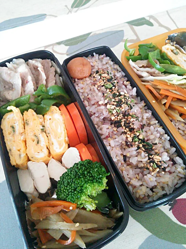 今日のお弁当|chiinaさん