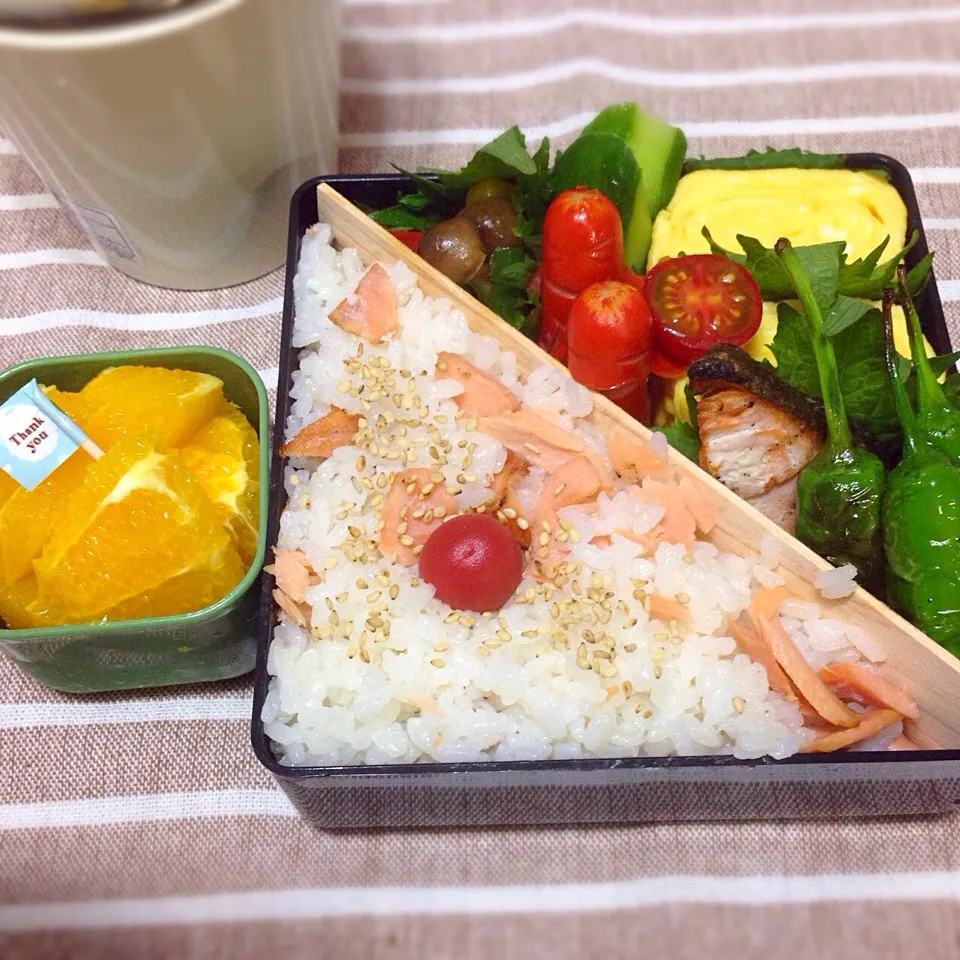 Snapdishの料理写真:鮭混ぜご飯弁当〜꒰*´∀`*꒱|りぉりぉ꒰•‧̫•ू꒱さん