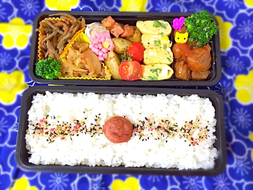 6月10日旦那さん弁当♡|つんさん