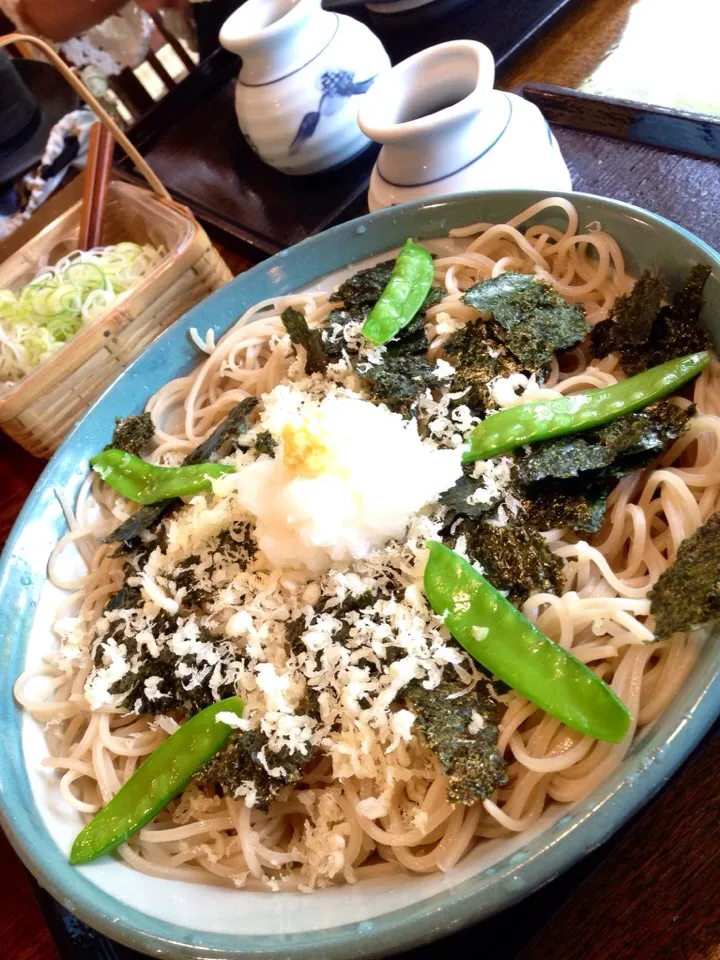 ✨今日もおろし蕎麦w|中さんさん