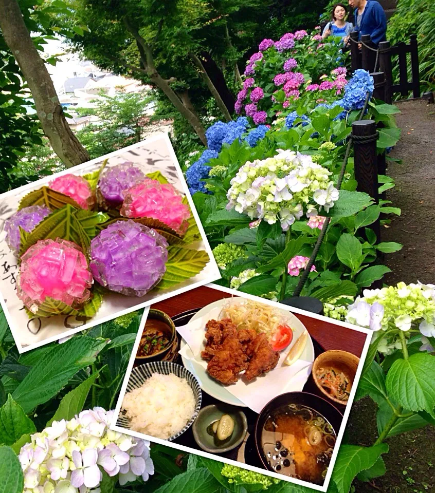 紫陽花と美味しいもの٩(◜ᴗ◝ )۶|ランランらぁ〜んさん