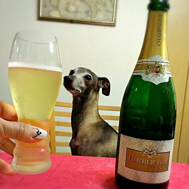 Champagne! やっぱり泡がすき♪|ふぃるまめんとさん