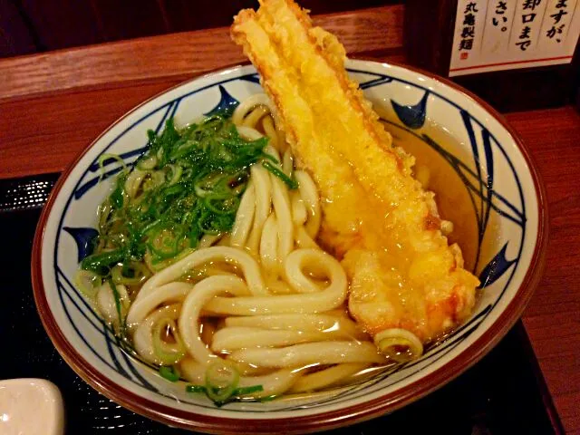 かけうどん + ちくわ天 #udon #tenpura|amnesic computerさん