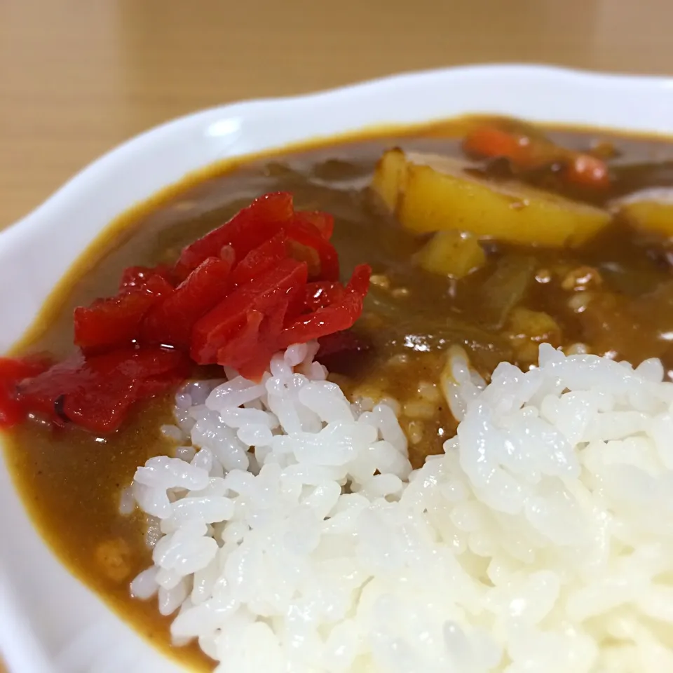 カレーライス|しろくまもんさん