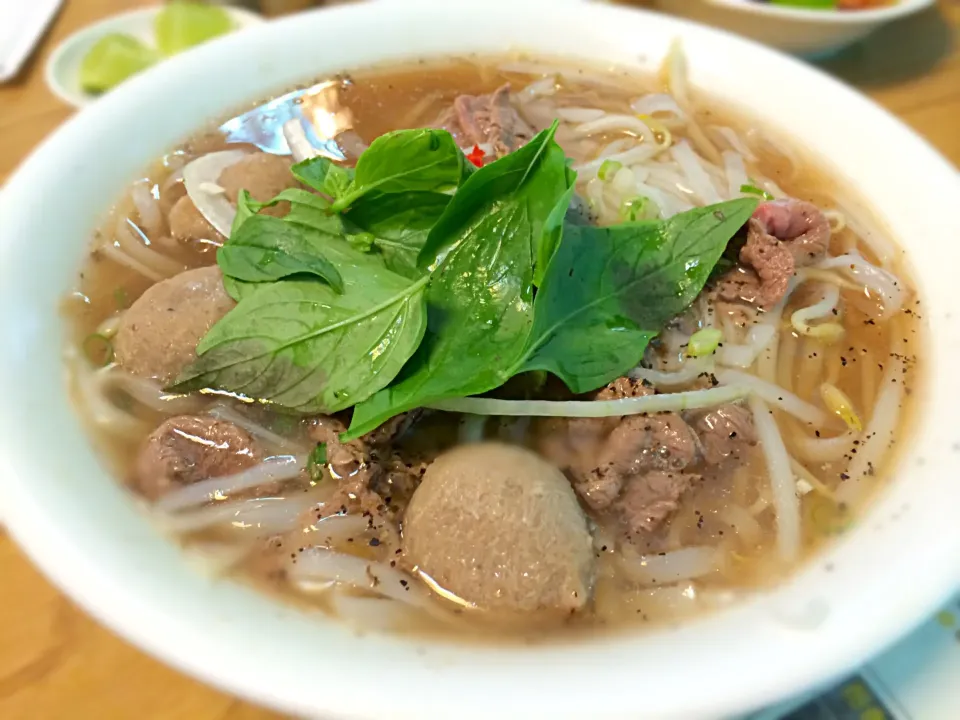 Snapdishの料理写真:Beef&beef meat ball Phở@新記|Larry Chuさん