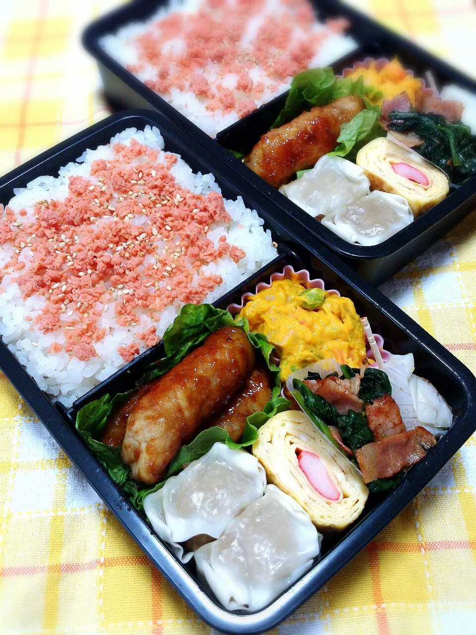 Snapdishの料理写真:14.6.11 男子高校生弁当|yukiさん