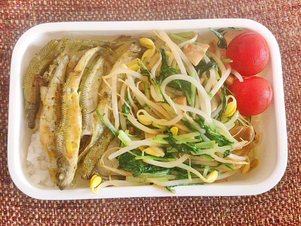 Preschool bento: pan fried Japanese pond smelt seasoned with curry, veggies sautéed and seasoned with oyster sauce and tomatoes over rice|Kirsten Adachiさん