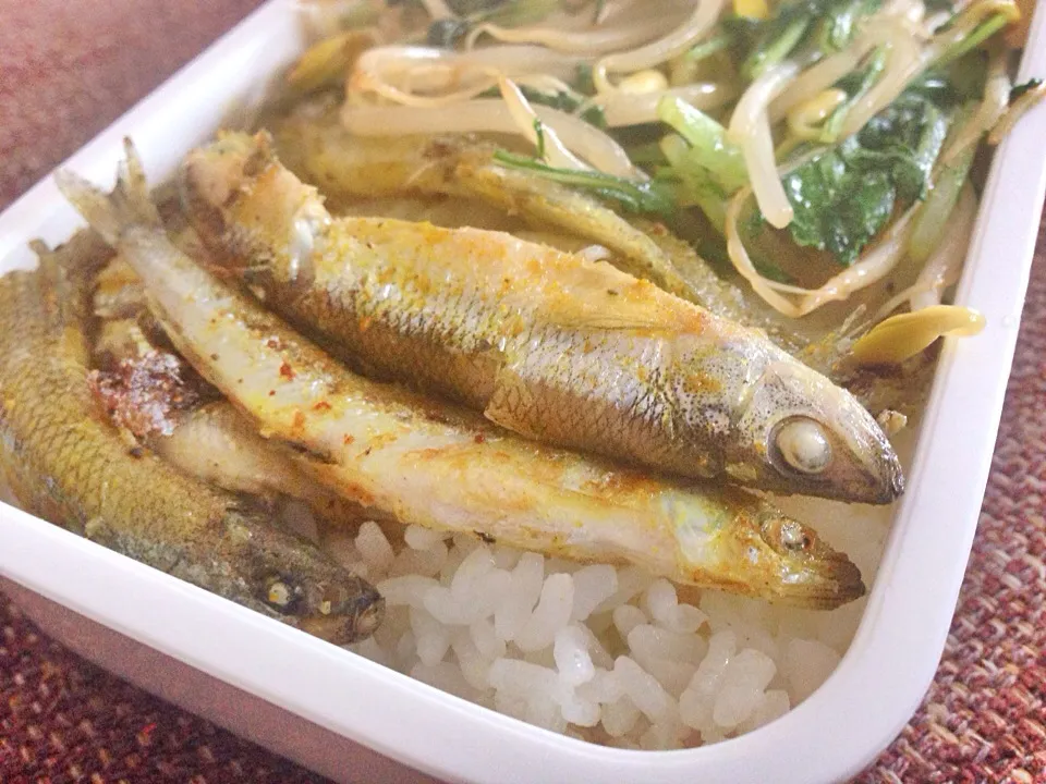 Pan fried Japanese pond smelt seasoned with curry|Kirsten Adachiさん